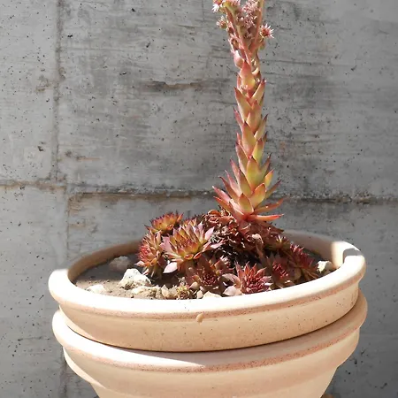 شقة Okrug Gornji 13859a